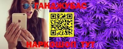 спиды Гатчина