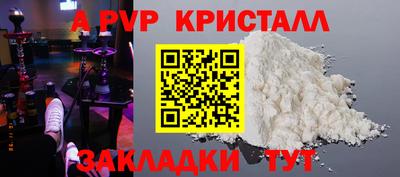 спиды Гатчина