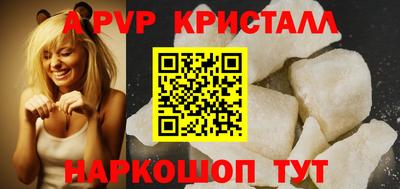 спиды Гатчина