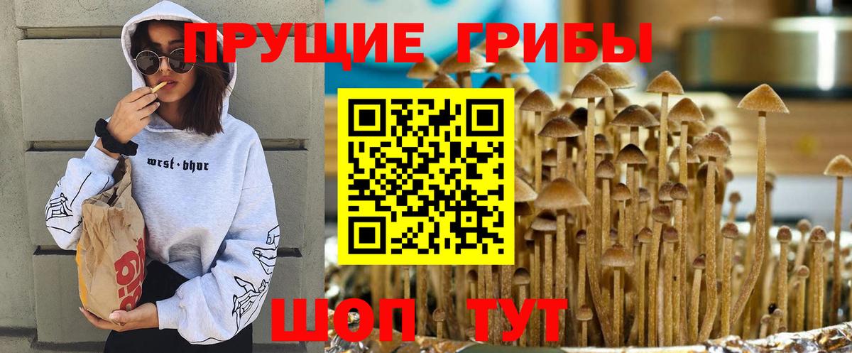 Галлюциногенные грибы Magic Shrooms  Галлюциногенные грибы MAGIC MUSHROOMS  Вход с VPN  Нижний Новгород 
